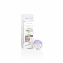 GSE INTIMO SALVIETTE CLICK GO