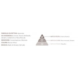 Radici di Zenzero - Profumatore Spray Biella