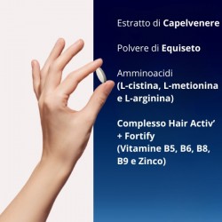 FORCAPIL® Anticaduta 2+1