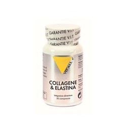 COLLAGENE e ELASTINA