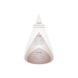 Spray per ambiente - Tabacco speziato & Ambra Pura