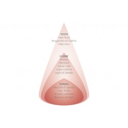 Diffusore a bastoncini - Legni orientali & Pepe nero