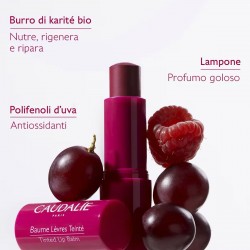 Vinotherapist™ Balsamo...