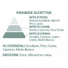 Vischio e Legno - Profumatore Spray - Erboristeria Magentina Biella