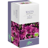 Malva | Tisana