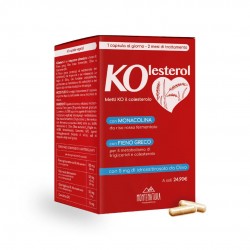Kolesterol 60 capsule vegetali