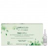 Fiale Capelli Ristrutturanti CapNatura