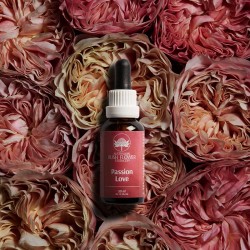 Passion Love