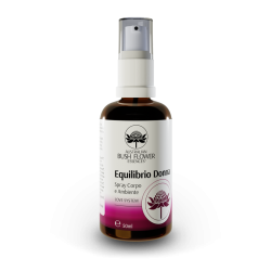 Equilibrio Donna Vaporizzatore
