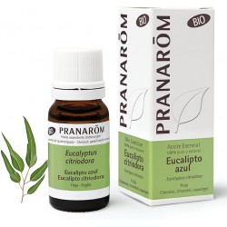 Oli essenziali Eucalipto...